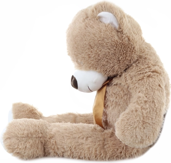 Dettagli adorabili e fiocco