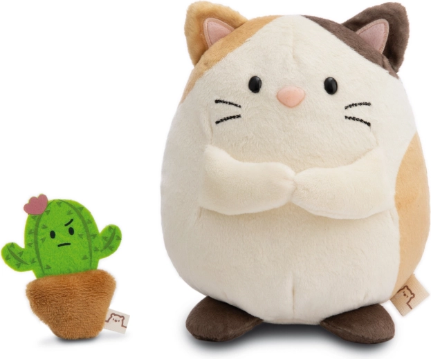 Cactus Moodi come tenero compagno