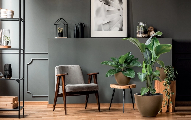 Leggera e resistente per casa e giardino