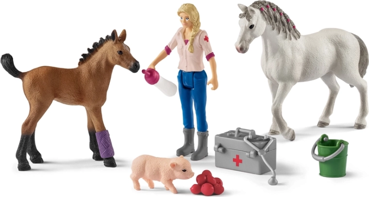 Visita del veterinario alla giumenta e al puledro