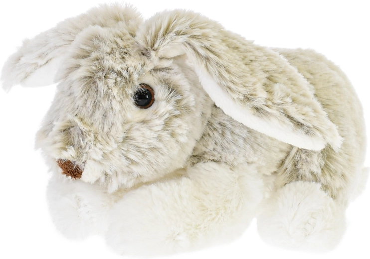 Dettagli adorabili e lunghe orecchie