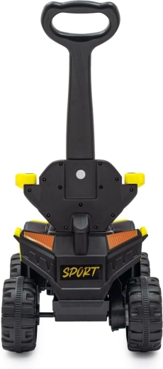 Trazione elettrica per una guida divertente