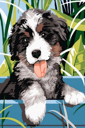 Norimpex Dipingi con i numeri cane sorridente 40 × 50 cm