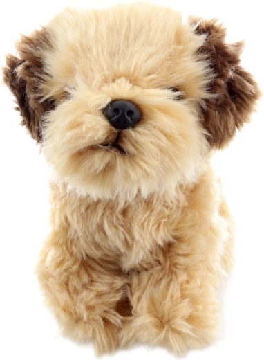 Gioco sicuro fin dalla nascita