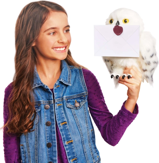 Lettera da Hogwarts per posta magica