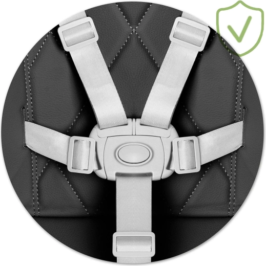 Massima sicurezza grazie alle cinture a 5 punti