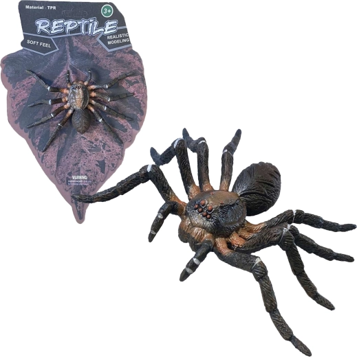 Natura viva: Wolf Spider – modello realistico di ragno (12 cm)