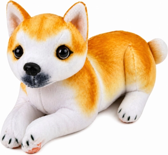 Aspetto realistico dello Shiba Inu