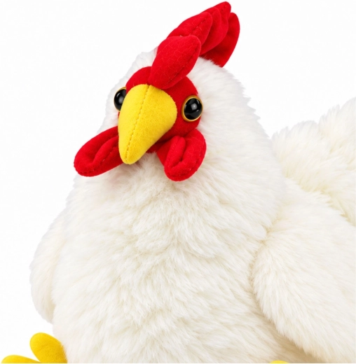 Aspetto allegro della gallina