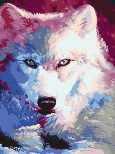 Dipingi con i numeri Ombre del lupo bianco 40 × 50 cm