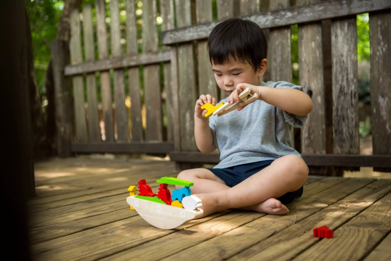 Giocattolo ecologico in legno di PlanToys