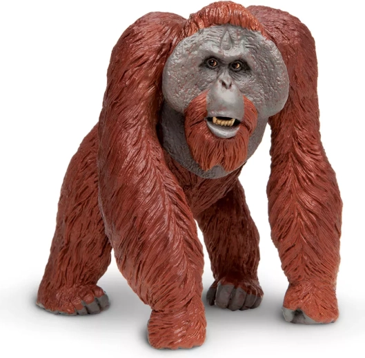 Figura di orangutan del Borneo Safari Ltd.