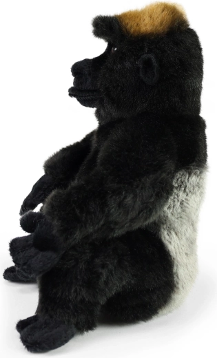 Aspetto realistico della gorilla