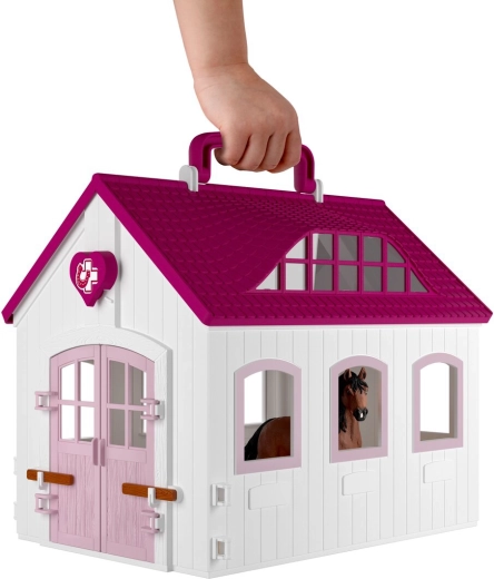 Clinica veterinaria con box e in versione trasportabile