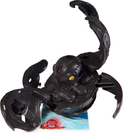 tutto il necessario per giocare nella confezione