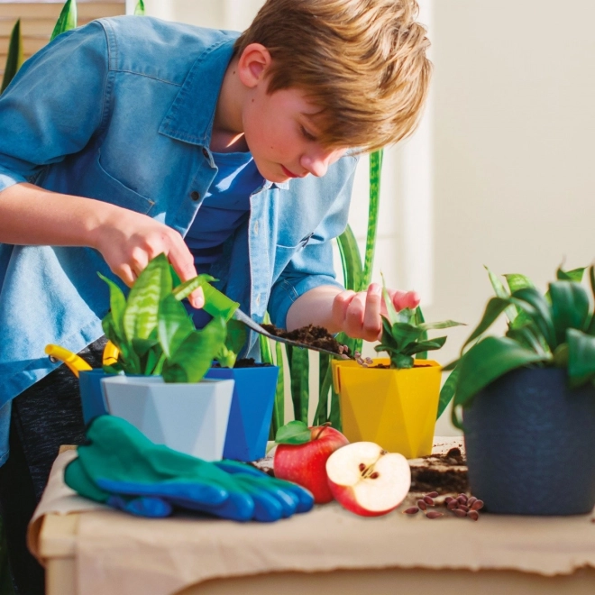 Coltivazione divertente a casa