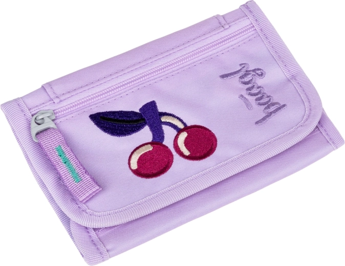 Pratica taschina con zip per gli spicci