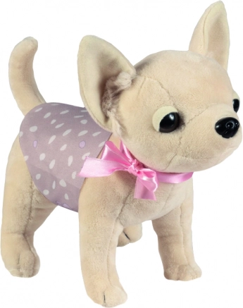 Cagnolino chihuahua DIDI