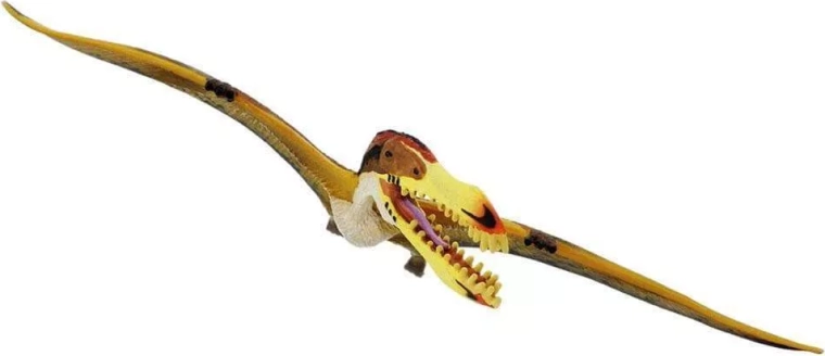 Composizione sicura di Safari Ltd.