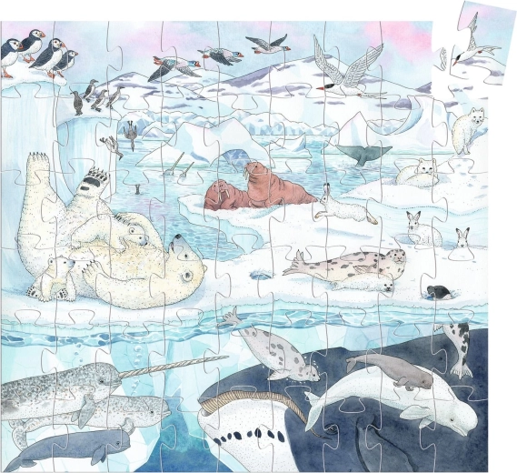 Bellissima illustrazione del mondo polare