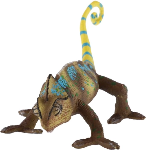 Dettagli cromatici vivaci