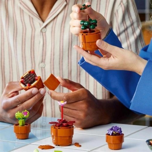 Costruzione condivisa e guida digitale