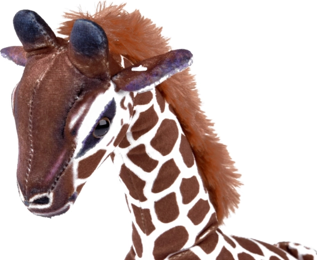 Dettagli sicuri e lavorazione di qualità