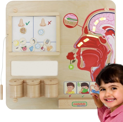 Tavola educativa Montessori Masterkidz Il senso dell'olfatto