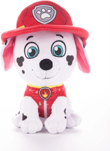 Dettagli autentici da pompiere