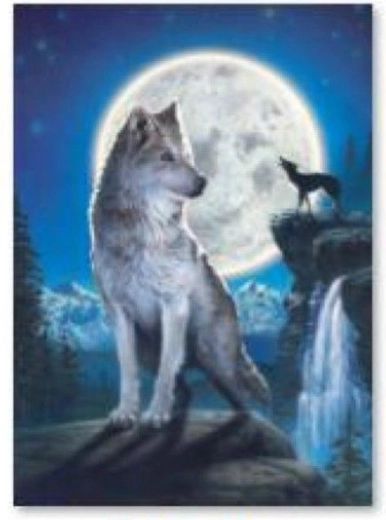 Ricamo diamantato (diamond painting) lupo 30 × 40 cm