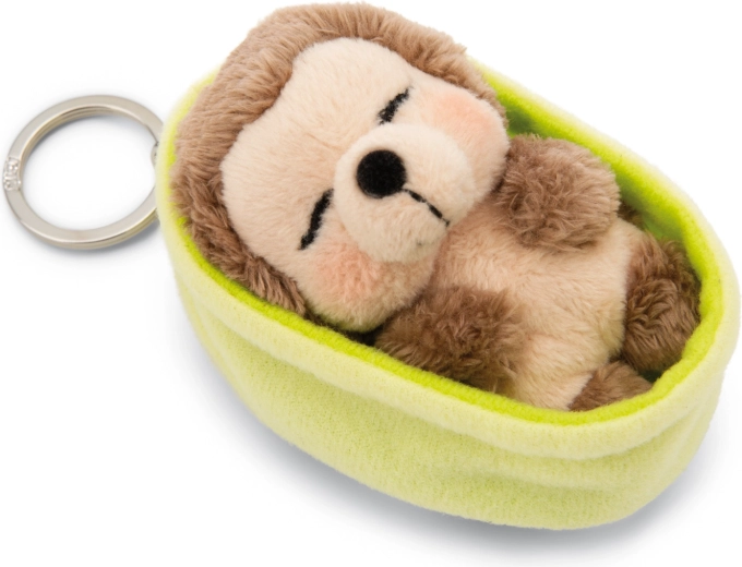 Un tenero riccio addormentato sempre a portata di mano