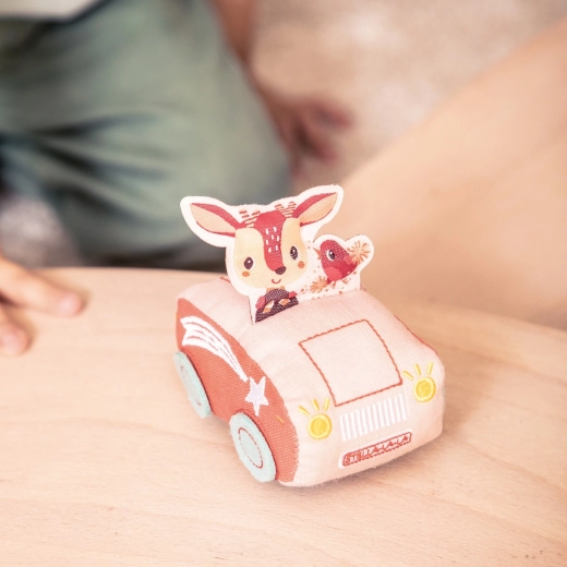 Corsa a retrocarica per piccoli piloti