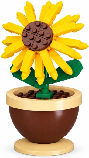 Girasole appariscente in vaso