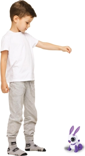 Movimento avanti e indietro e balli allegri