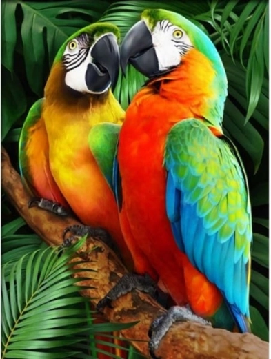 Mosaico di diamanti (diamond painting) ara colorate 30 × 40 cm