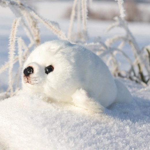 Ispirata a un animale reale