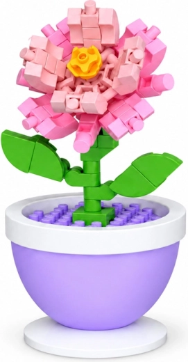 Garofano rosa come decorazione