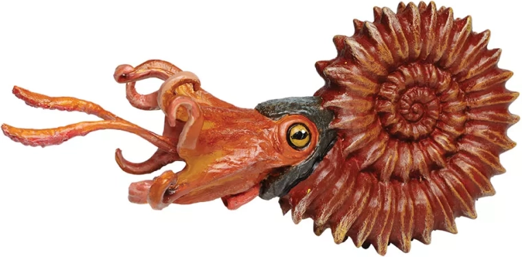 Safari Ltd. ammonite – statuetta dipinta a mano