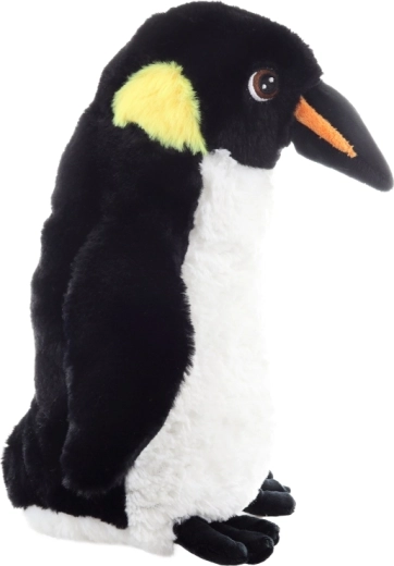 Aspetto realistico che stimola la fantasia