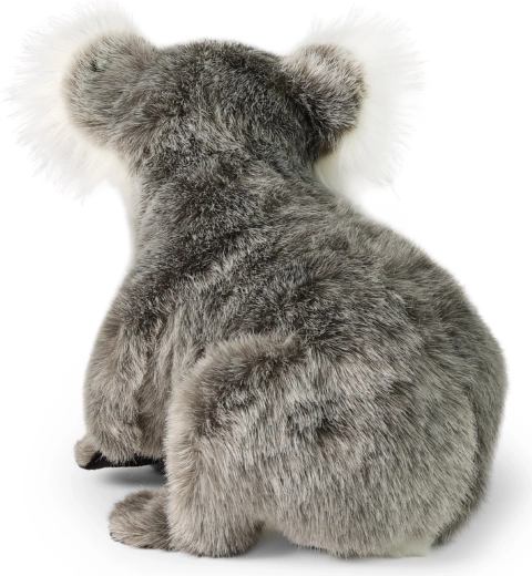 Riproduzione fedele della koala