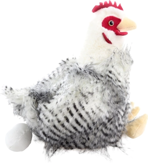 Gallina con uovo