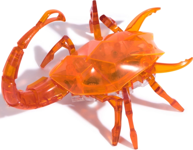 Design trasparente e struttura resistente