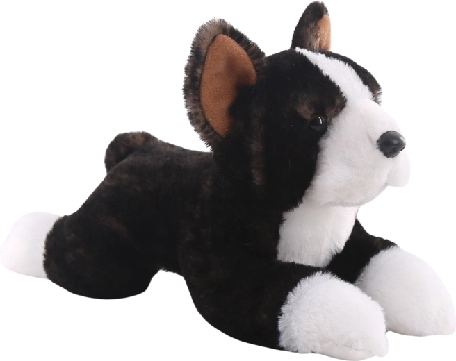 Boston Terrier di peluche 25 cm
