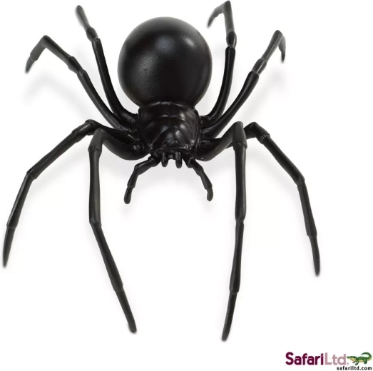 Figura della vedova nera (Latrodectus mactans)