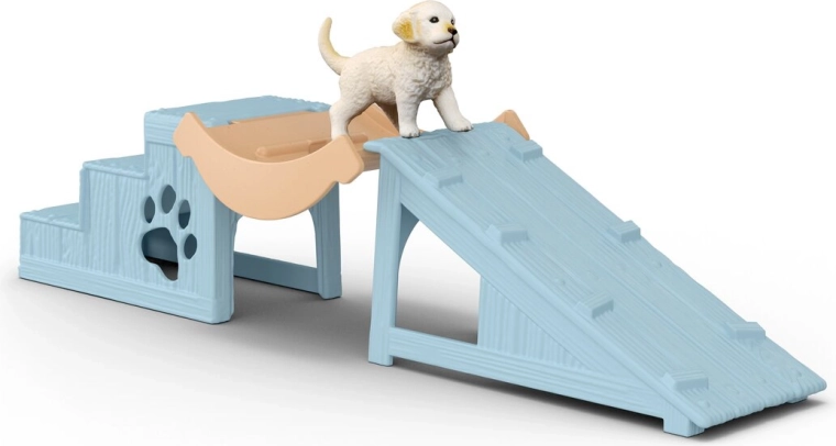 Percorso agility per un divertimento senza fine