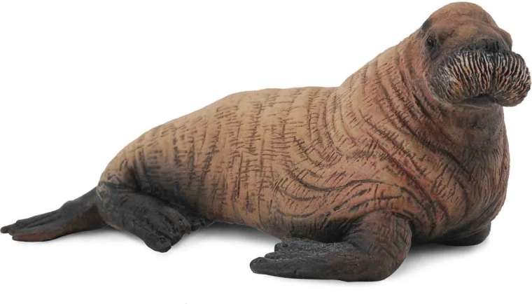 Figura in plastica del cucciolo di tricheco Collecta