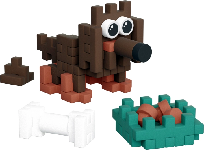 Adorabile bassotto e fantastici accessori