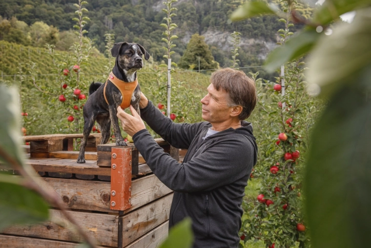 Chiusura facile con una mano