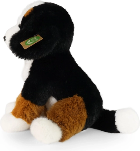 Fedele riproduzione del cane da montagna bernese