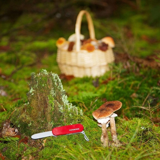 Design VICTORINOX con licenza